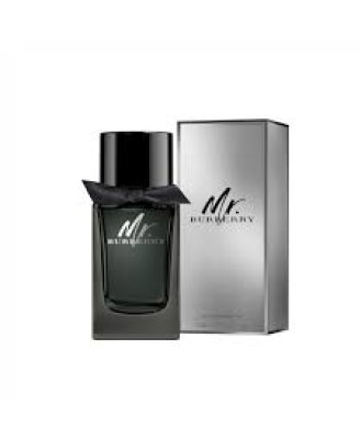 BURBERRY MR. BURBERRY EDP 100ML